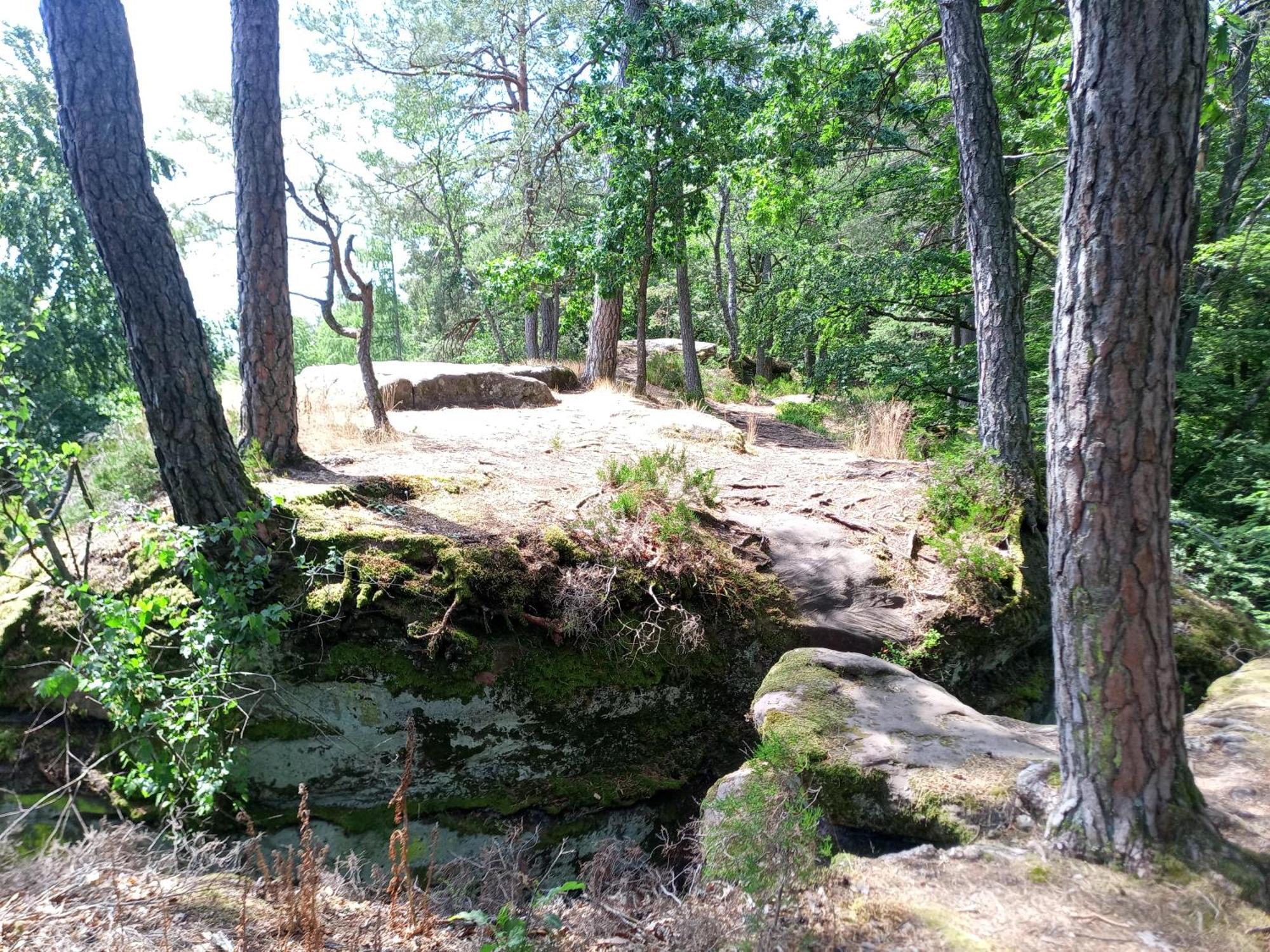 Zimmer Mit Sauna Und Kochgelegenheit Rott Экстерьер фото